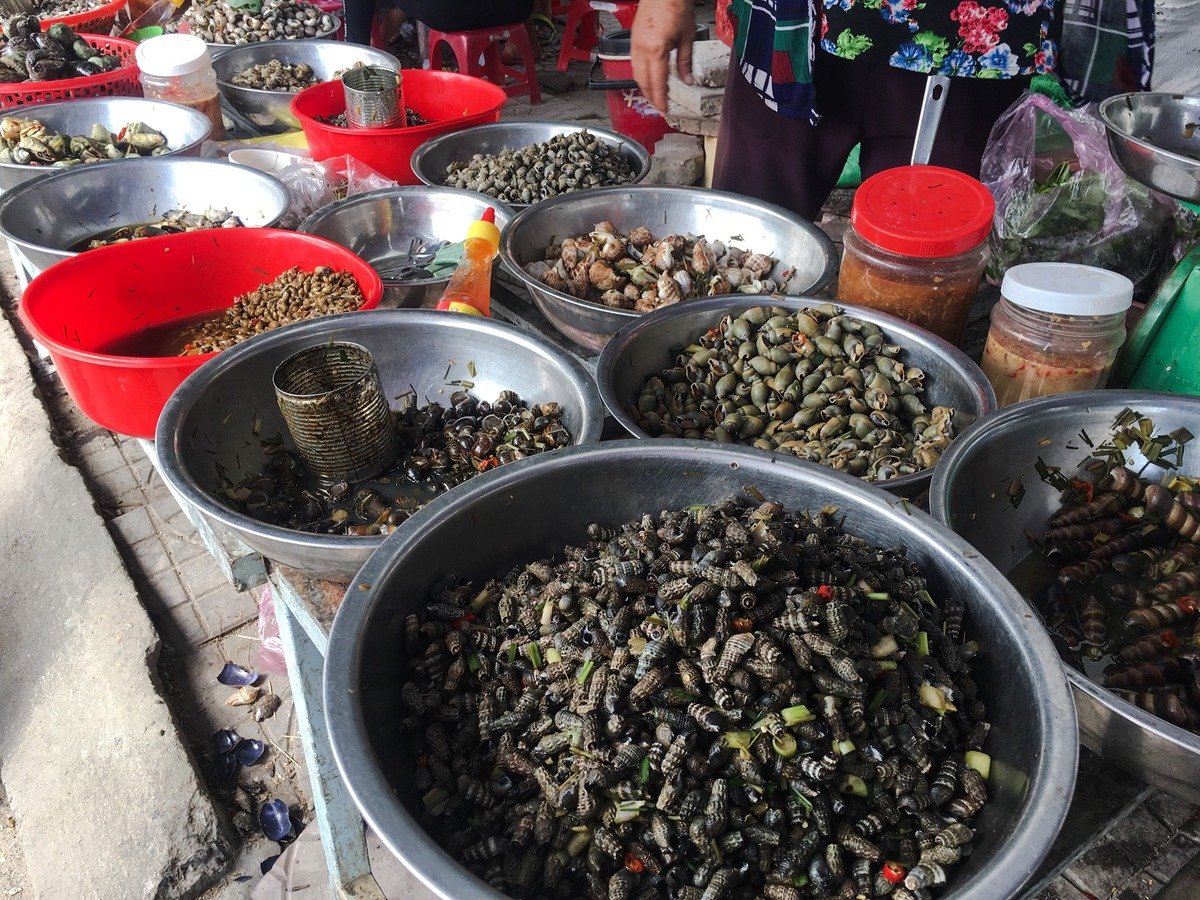 Ăn gì ở Sông Cầu - Phú Yên? Khám phá thiên đường ẩm thực đầy hấp dẫn - ảnh 3