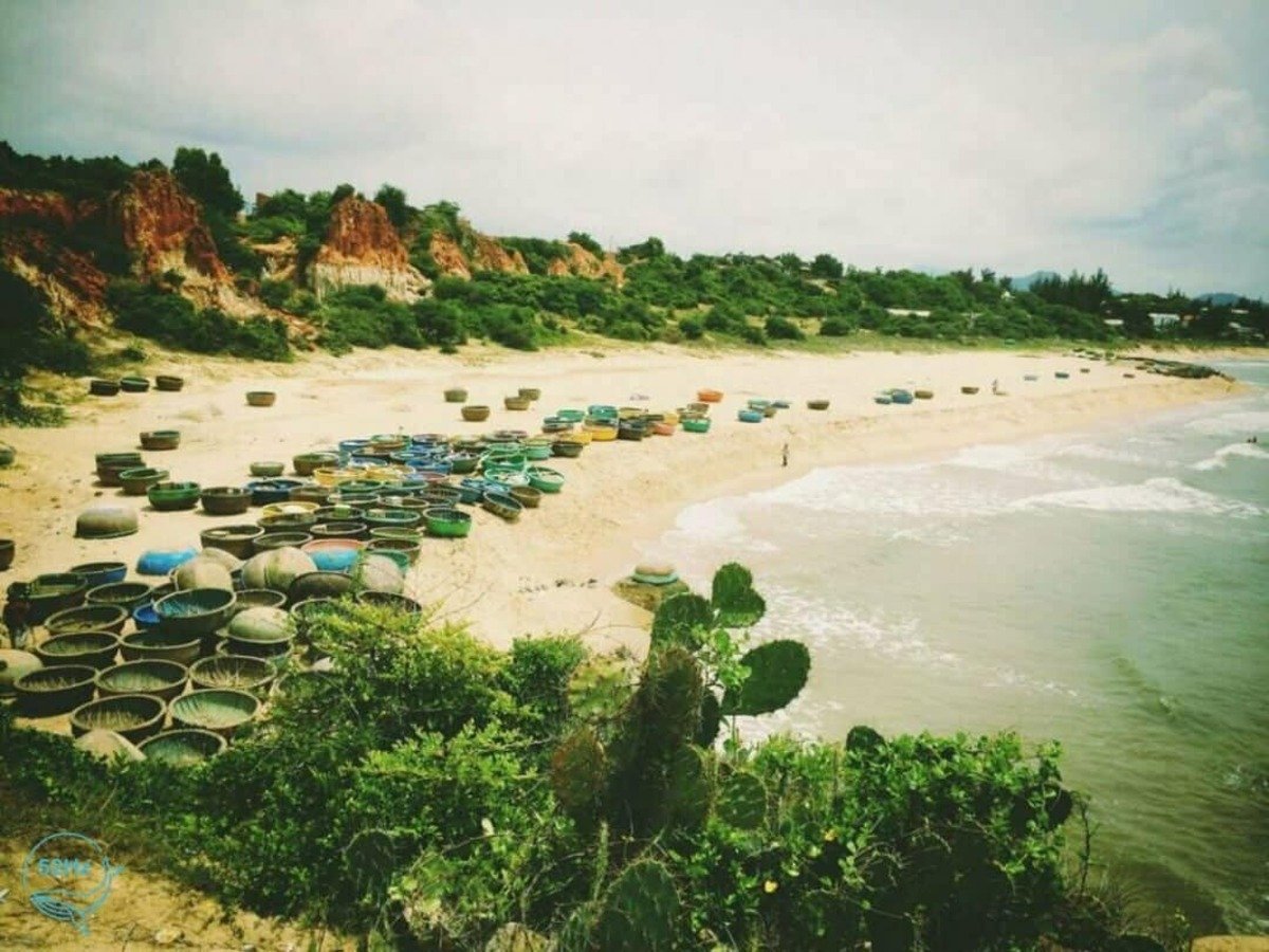 Check-in Gành Son - Bình Thuận: Bãi biển đỏ rực hút hồn du khách - ảnh 5