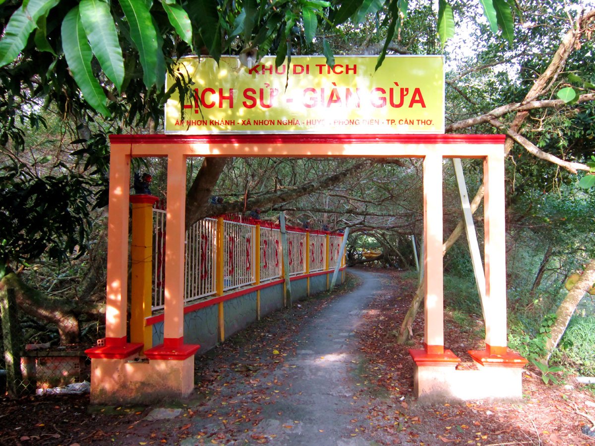 Khám phá Khu di tích Giàn Gừa: 'Mê cung' rễ cây khổng lồ ở Cần Thơ - ảnh 2