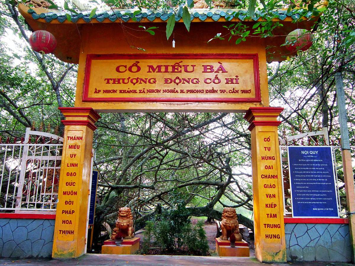 Khám phá Khu di tích Giàn Gừa: 'Mê cung' rễ cây khổng lồ ở Cần Thơ - ảnh 3
