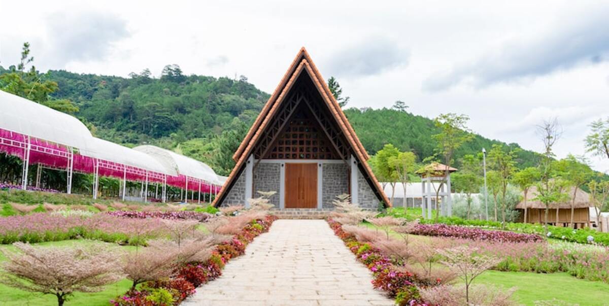 khu-du-lich-rung-thong-nui-voi-6