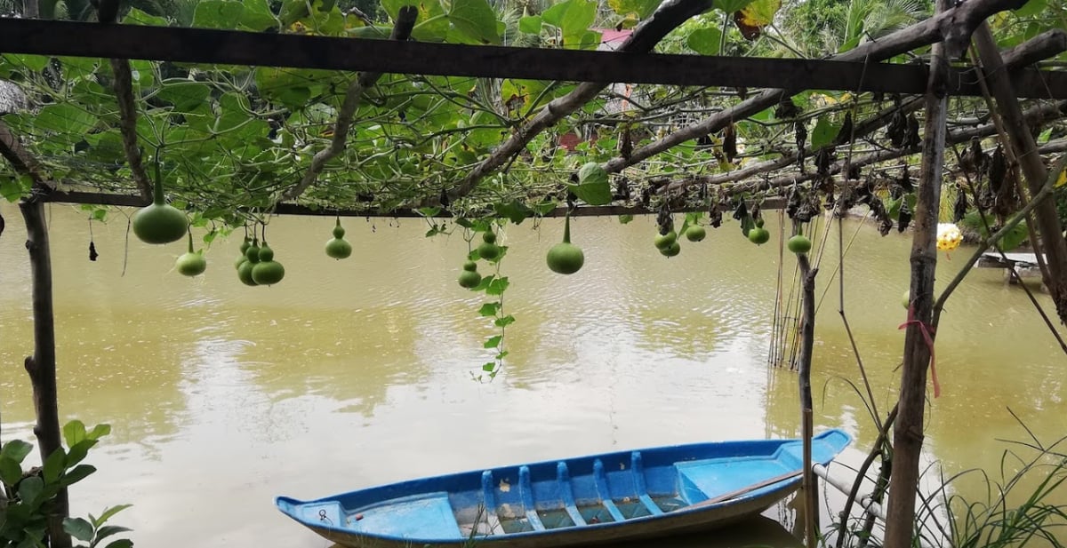 Vui hết nấc tại vườn sinh thái Xẻo Nhum - Cần Thơ: Điểm đến lý tưởng cho tín đồ yêu thiên nhiên - ảnh 5