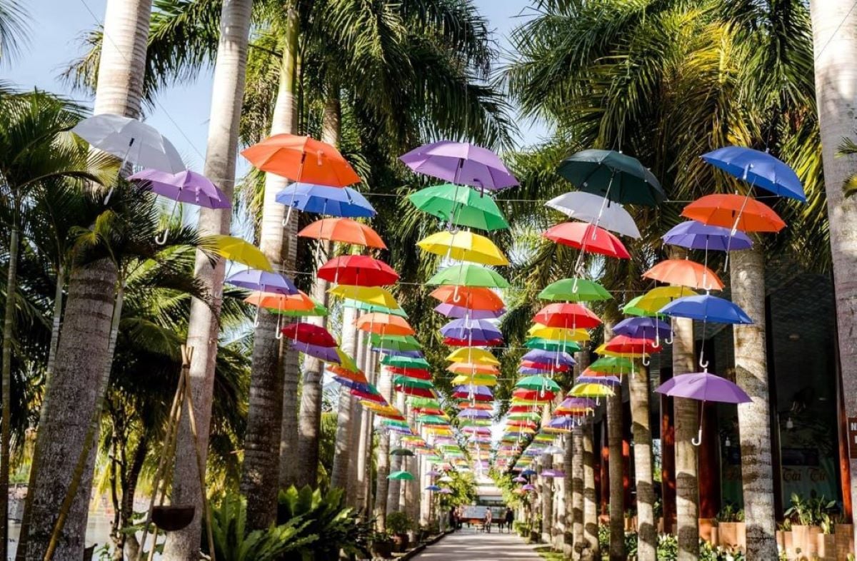 Khu du lịch sinh thái Phú Hữu - Hậu Giang: Điểm đến lý tưởng cho kỳ nghỉ cuối tuần - ảnh 2