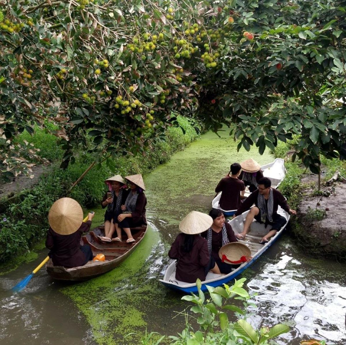 Khu du lịch sinh thái Phú Hữu - Hậu Giang: Điểm đến lý tưởng cho kỳ nghỉ cuối tuần - ảnh 3