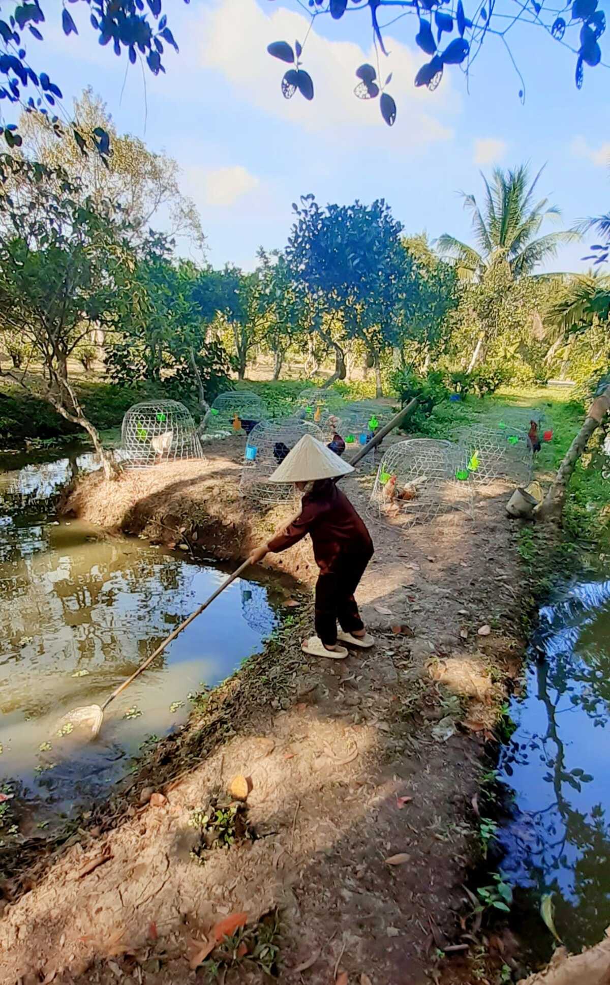 Khám phá khu du lịch Ba Láng - 'Ốc đảo xanh' giữa lòng Cần Thơ - ảnh 3