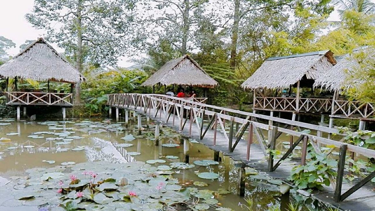 Khám phá khu du lịch Ba Láng - 'Ốc đảo xanh' giữa lòng Cần Thơ - ảnh 1