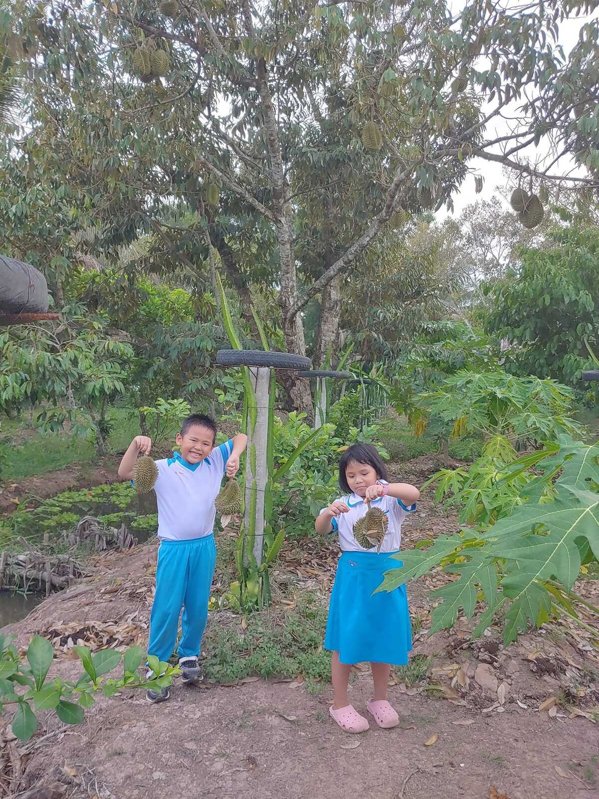 Khám phá khu du lịch Ba Láng - 'Ốc đảo xanh' giữa lòng Cần Thơ - ảnh 2