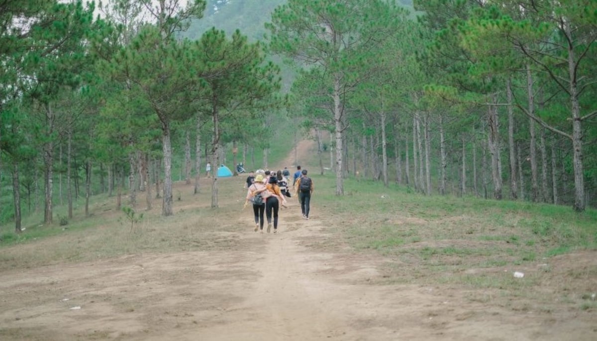 hon-bo-da-lat-2