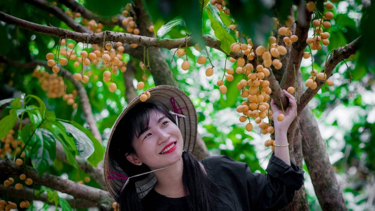 10+ khu du lịch sinh thái hấp dẫn nhất Cần Thơ hè 2025 - ảnh 3