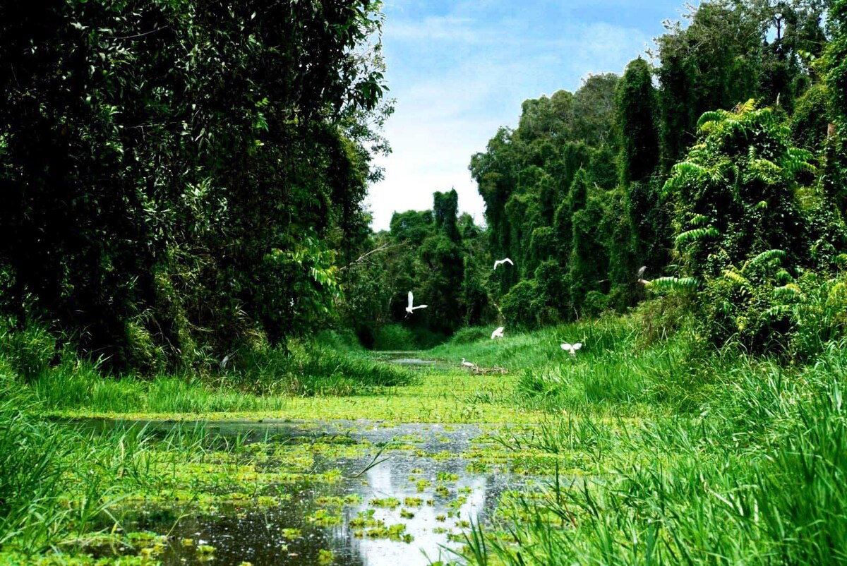 khu-du-lich-sinh-thai-gao-giong-3
