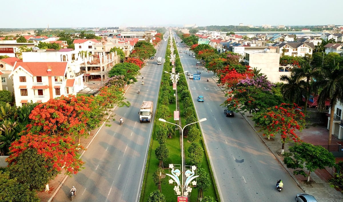 Hải Phòng có biệt danh là thành phố hoa phượng đỏ