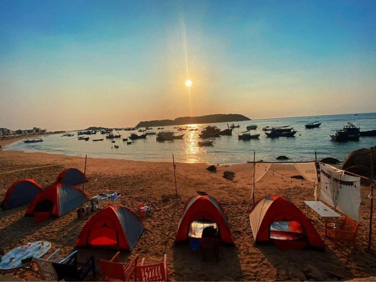 kinh-nghien-cam-trai-phu-yen-4