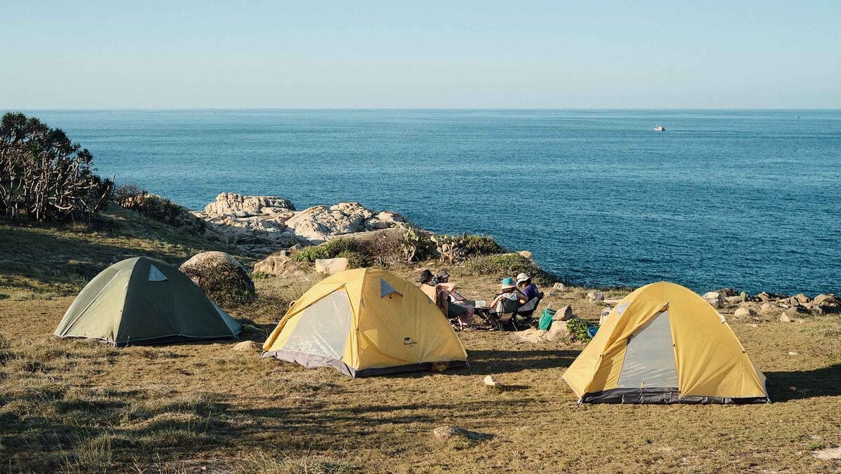 kinh-nghien-cam-trai-phu-yen-5