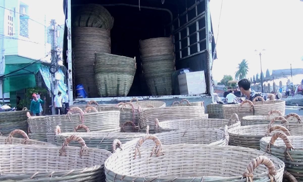 Độc đáo làng nghề đan cần xé Ngã Bảy Hậu Giang: “Di sản sống” của miền Tây - ảnh 5