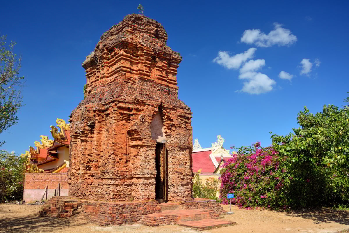 Cẩm nang du lịch Phan Thiết bằng tàu - Trải nghiệm hành trình “chậm mà chất” - ảnh 6