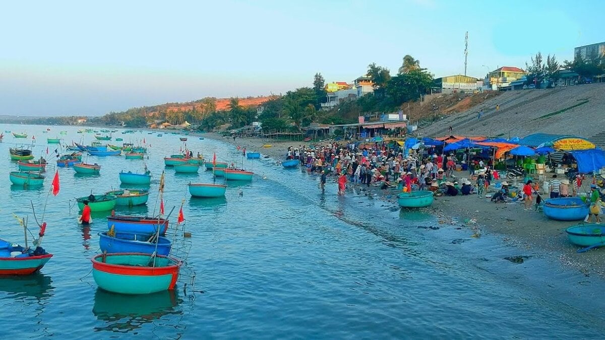 Cẩm nang du lịch Phan Thiết bằng tàu - Trải nghiệm hành trình “chậm mà chất” - ảnh 7