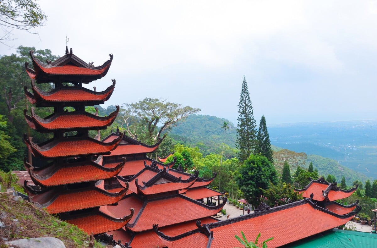 Cẩm nang du lịch Phan Thiết bằng tàu - Trải nghiệm hành trình “chậm mà chất” - ảnh 8