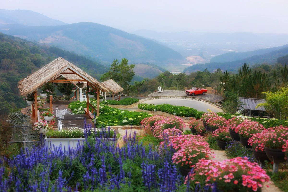 nen-đi-da-lat-hay-sapa-1