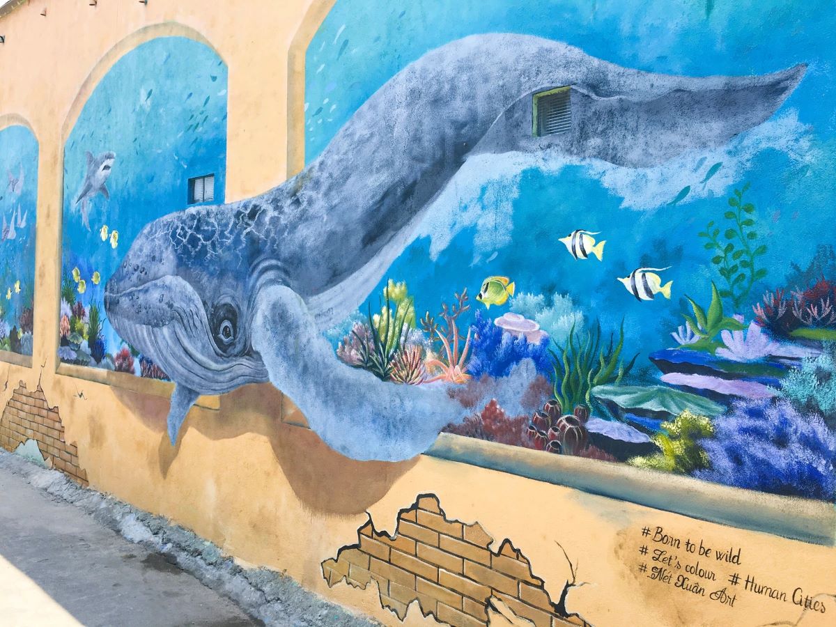 Làng bích họa An Bình Lý Sơn - Quảng Ngãi: Nơi nghệ thuật “thổi hồn” trong từng góc phố - ảnh 1
