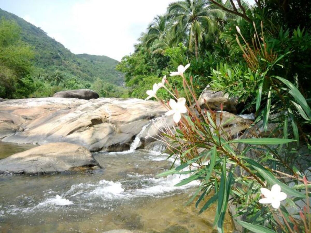 Đến suối Thạch Khê Phú Yên, check-in “background” cực chất - ảnh 2