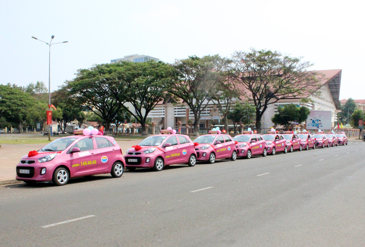 Tổng hợp 10 hãng taxi Quy Nhơn uy tín, giá tốt năm 2025 - ảnh 5