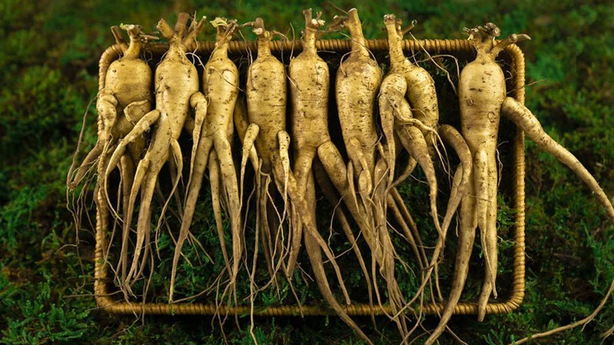 Top 10 đặc sản Quảng Bình làm quà ý nghĩa nhất - ảnh 1