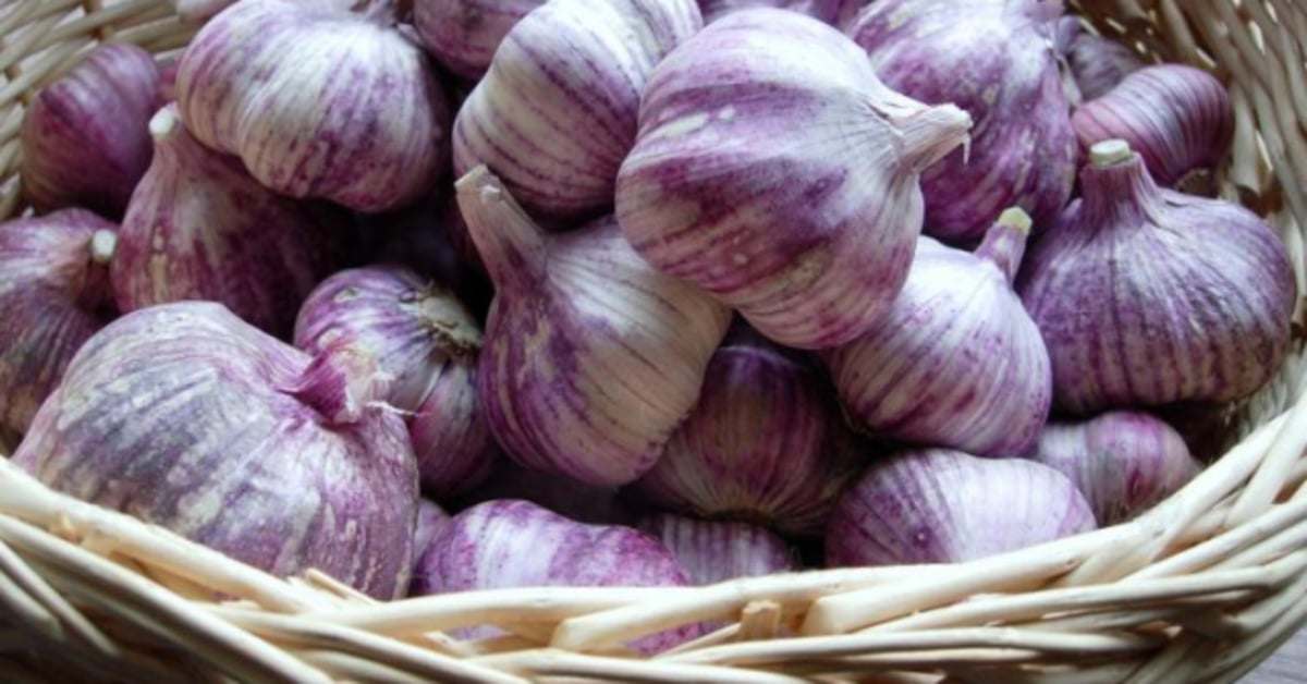 Top 10 đặc sản Quảng Bình làm quà ý nghĩa nhất - ảnh 10