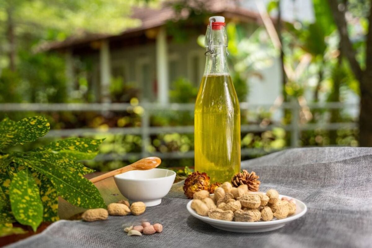 Top 10 đặc sản Quảng Bình làm quà ý nghĩa nhất - ảnh 7