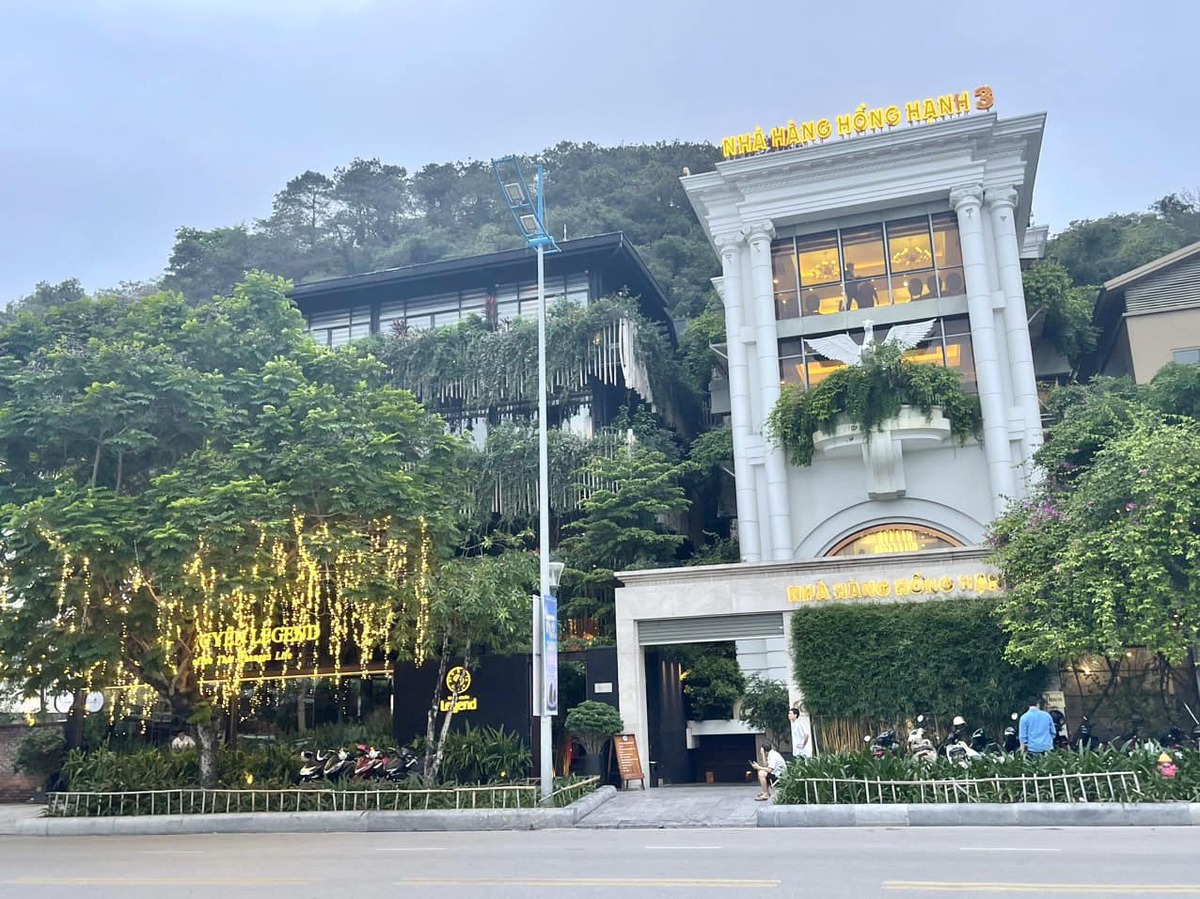 Lưu ngay list 8 địa điểm ăn ngon ở Hạ Long, được nhiều review tốt nhất - ảnh 1