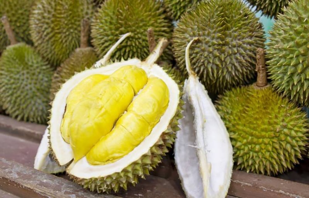 Thưởng thức sầu riêng Ngũ Hiệp Tiền Giang - Vị ngọt từ nông sản miền Tây - ảnh 1