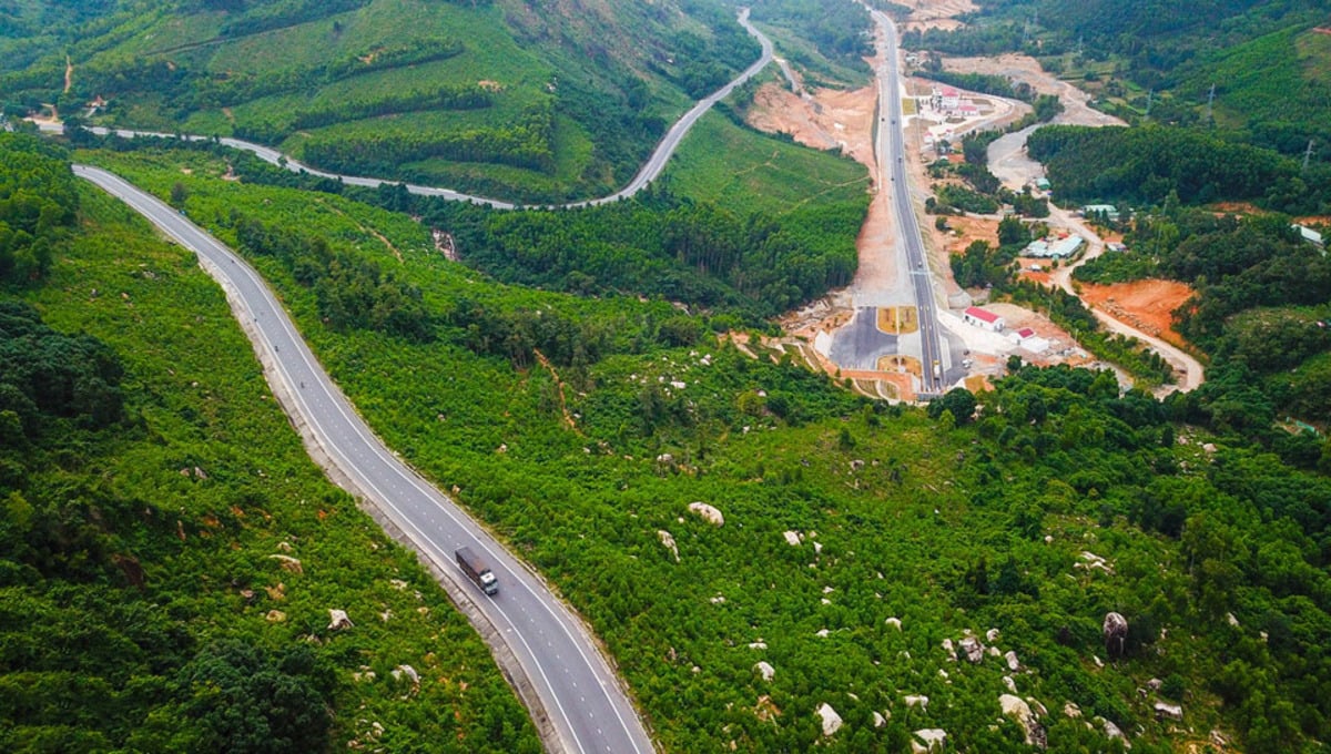 Tại sao Phú Yên được gọi là “xứ Nẫu”? - ảnh 2