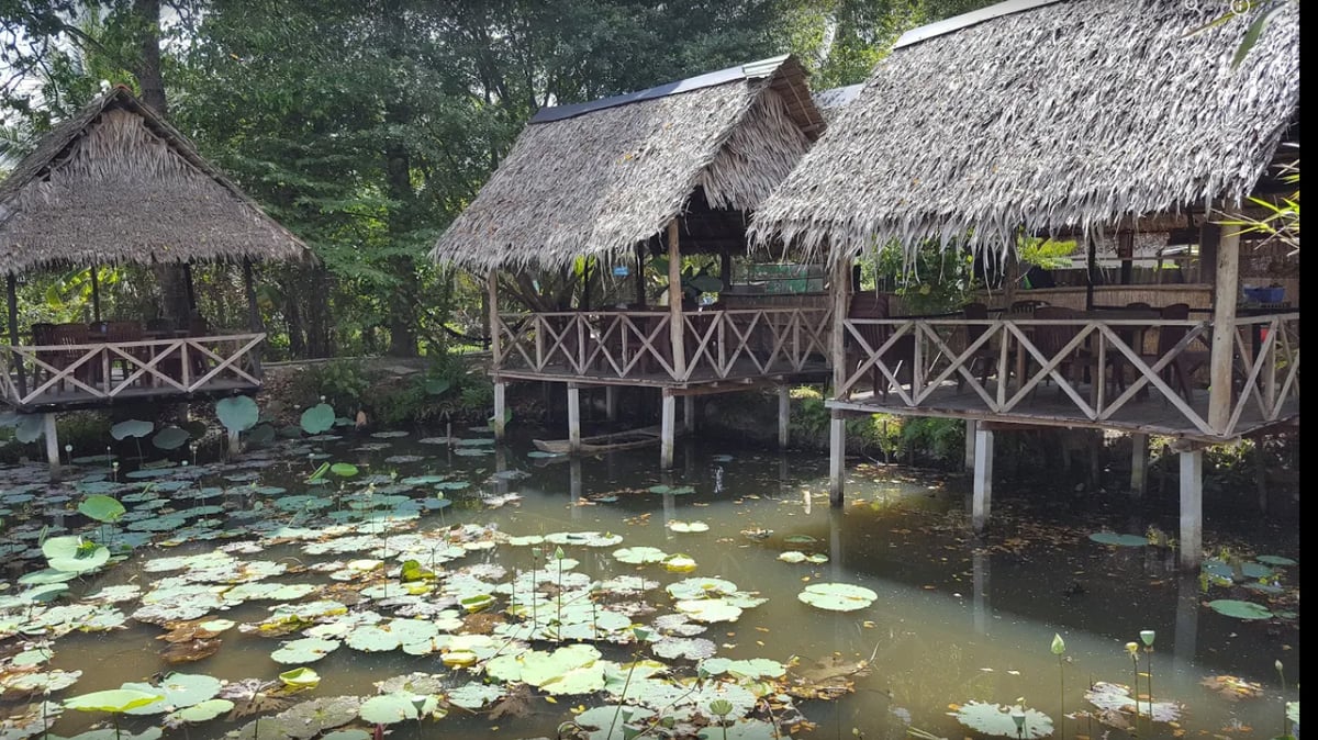 Vườn du lịch sinh thái Lê Lộc Cần Thơ: Điểm đến lý tưởng cho tâm hồn yêu thiên nhiên - ảnh 5