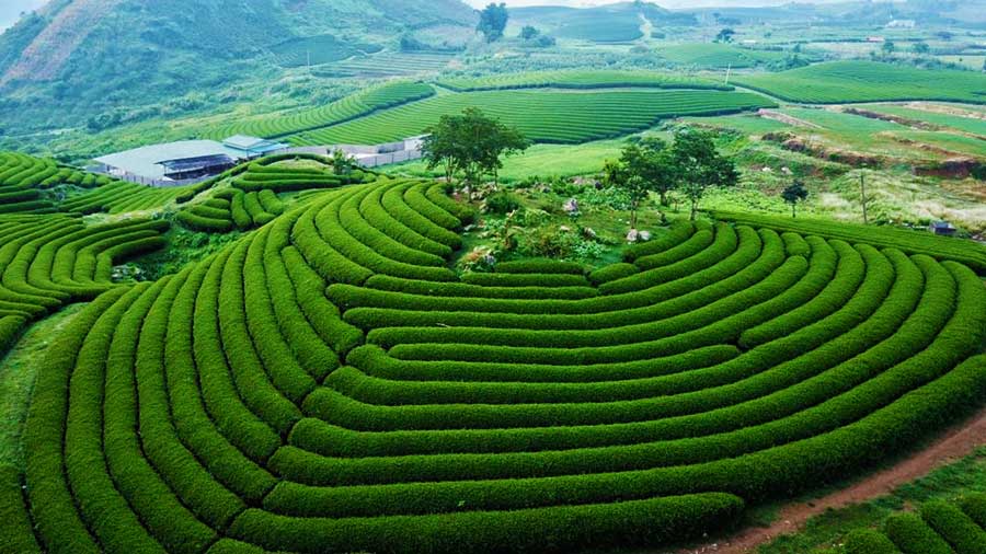 Nguồn ảnh: Internet
