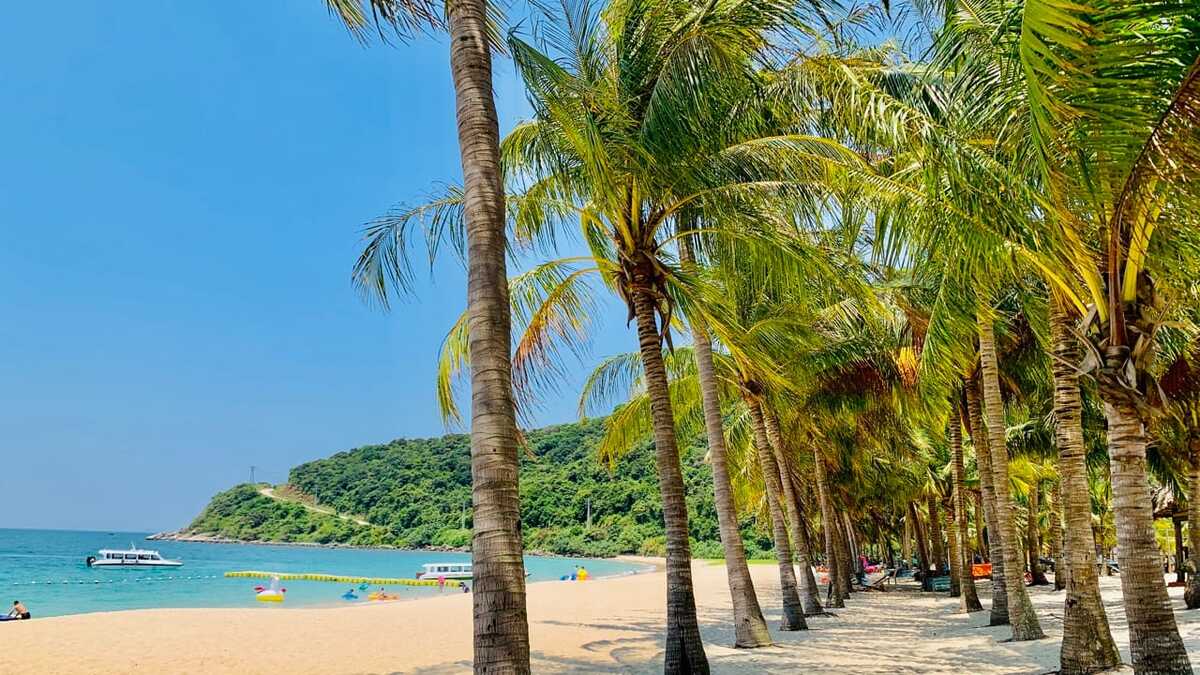 Du lịch hè 2025: Top 5 bài biển đẹp nhất Cù Lao Chàm - ảnh 1