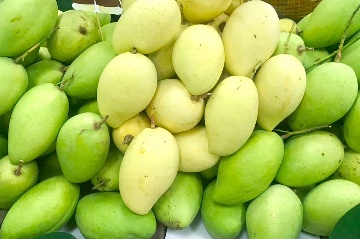Top 4 trái cây đặc sản Đồng Tháp ngon trứ danh - ảnh 2