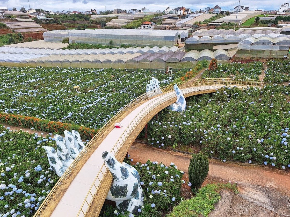 Du lịch hè 2025: Check-in top 5 vườn hoa đẹp nhất Đà Lạt - ảnh 2