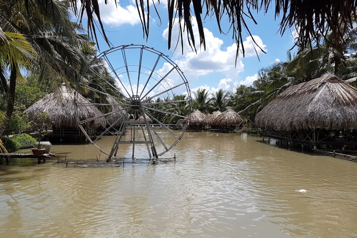 Khám phá vườn sinh thái Hoa Súng - Điểm du lịch hấp dẫn tại Cần Thơ - ảnh 2