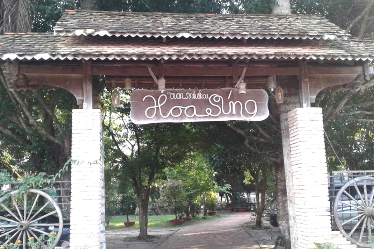 Khám phá vườn sinh thái Hoa Súng - Điểm du lịch hấp dẫn tại Cần Thơ - ảnh 1