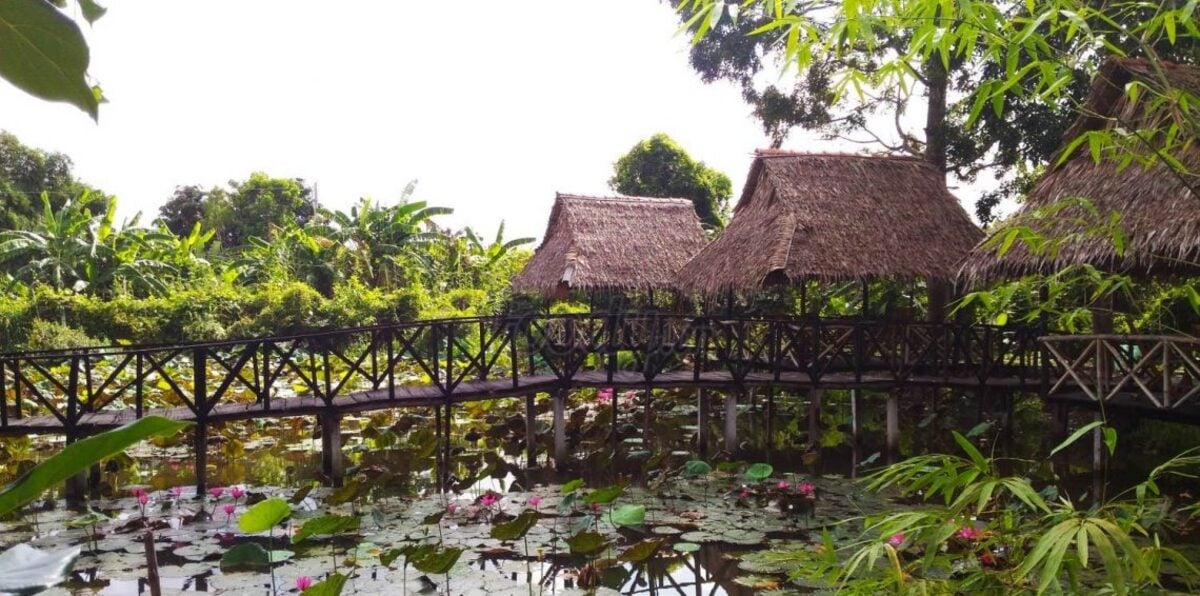 Khám phá vườn sinh thái Hoa Súng - Điểm du lịch hấp dẫn tại Cần Thơ - ảnh 3