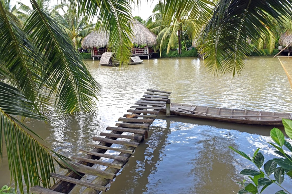 Khám phá vườn sinh thái Hoa Súng - Điểm du lịch hấp dẫn tại Cần Thơ - ảnh 6