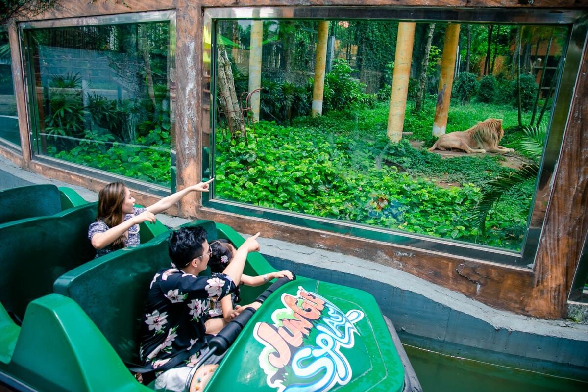 Ảnh: Công viên Thiên Đường Bảo Sơn