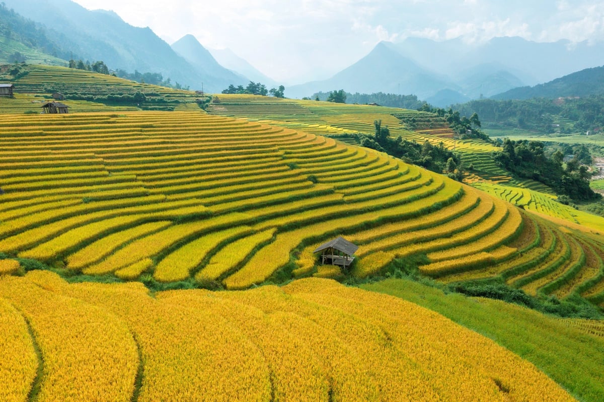 Top 10 ruộng bậc thang đẹp nhất Việt Nam: Những tuyệt tác “đẹp hơn tranh vẽ” - ảnh 2