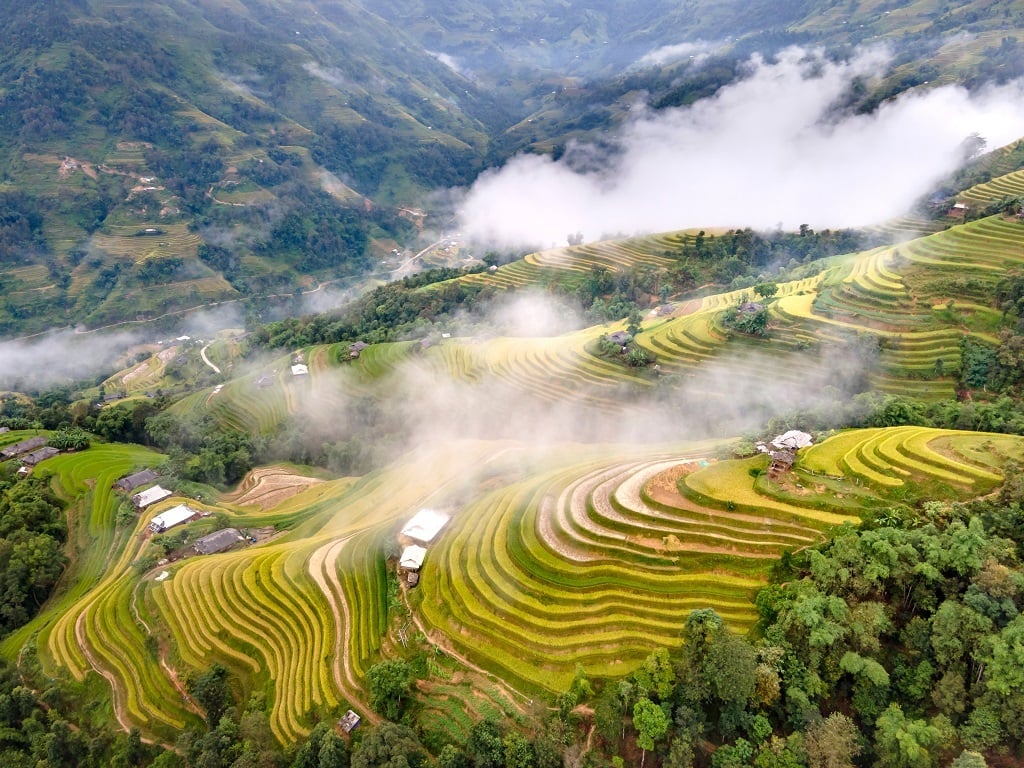Top 10 ruộng bậc thang đẹp nhất Việt Nam: Những tuyệt tác “đẹp hơn tranh vẽ” - ảnh 3