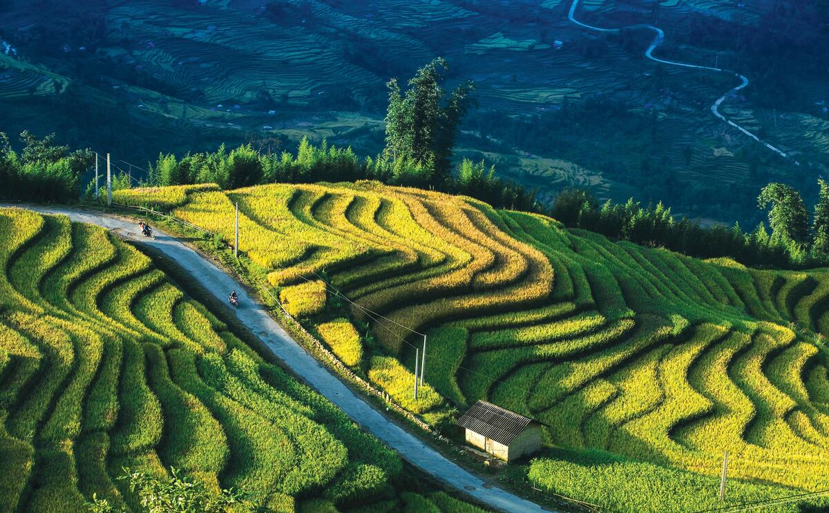 Top 10 ruộng bậc thang đẹp nhất Việt Nam: Những tuyệt tác “đẹp hơn tranh vẽ” - ảnh 4