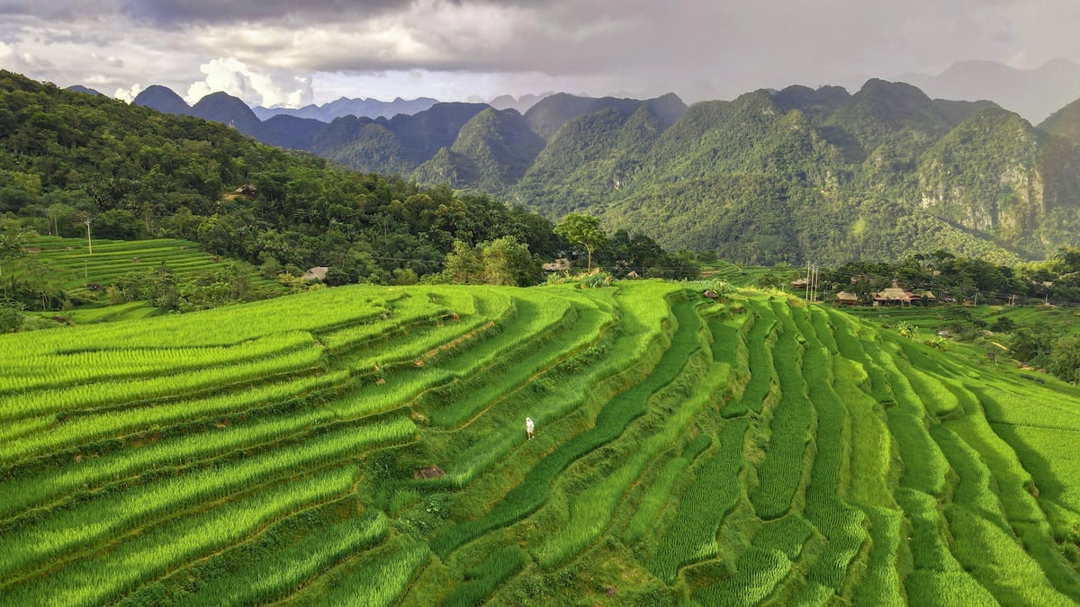 Top 10 ruộng bậc thang đẹp nhất Việt Nam: Những tuyệt tác “đẹp hơn tranh vẽ” - ảnh 5