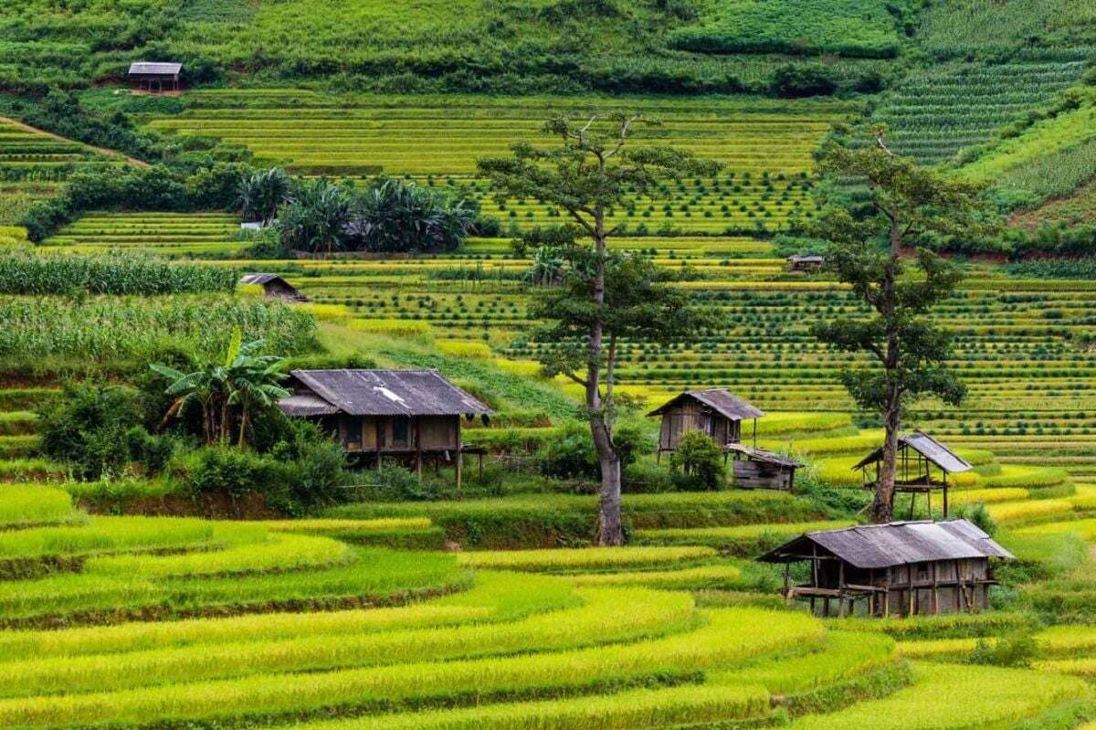 Top 10 ruộng bậc thang đẹp nhất Việt Nam: Những tuyệt tác “đẹp hơn tranh vẽ” - ảnh 6