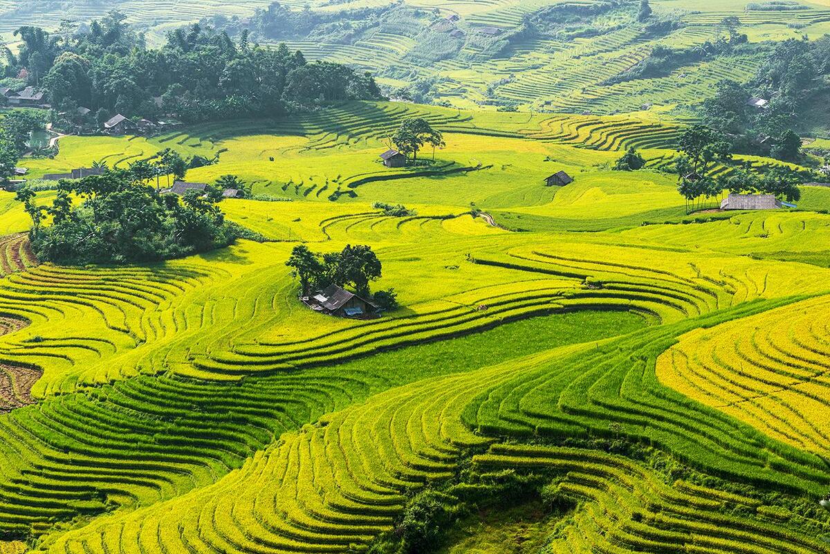 Top 10 ruộng bậc thang đẹp nhất Việt Nam: Những tuyệt tác “đẹp hơn tranh vẽ” - ảnh 7