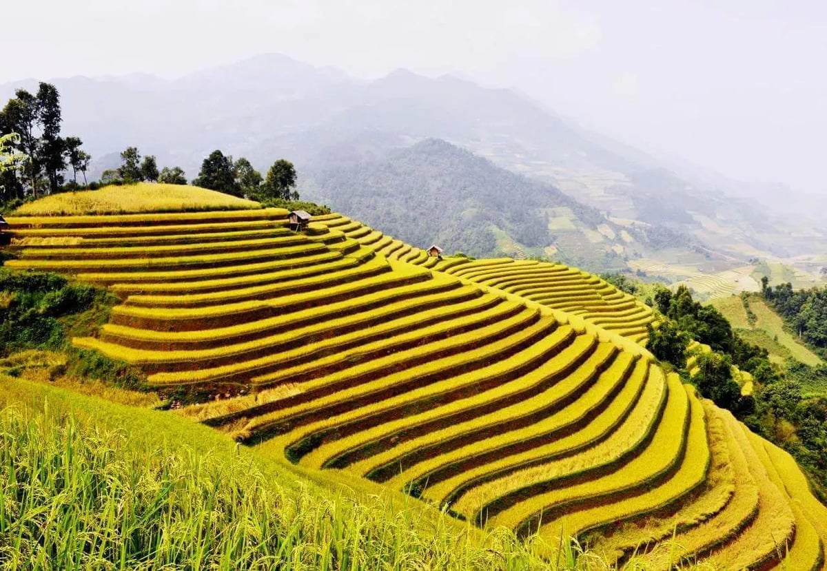 Top 10 ruộng bậc thang đẹp nhất Việt Nam: Những tuyệt tác “đẹp hơn tranh vẽ” - ảnh 8
