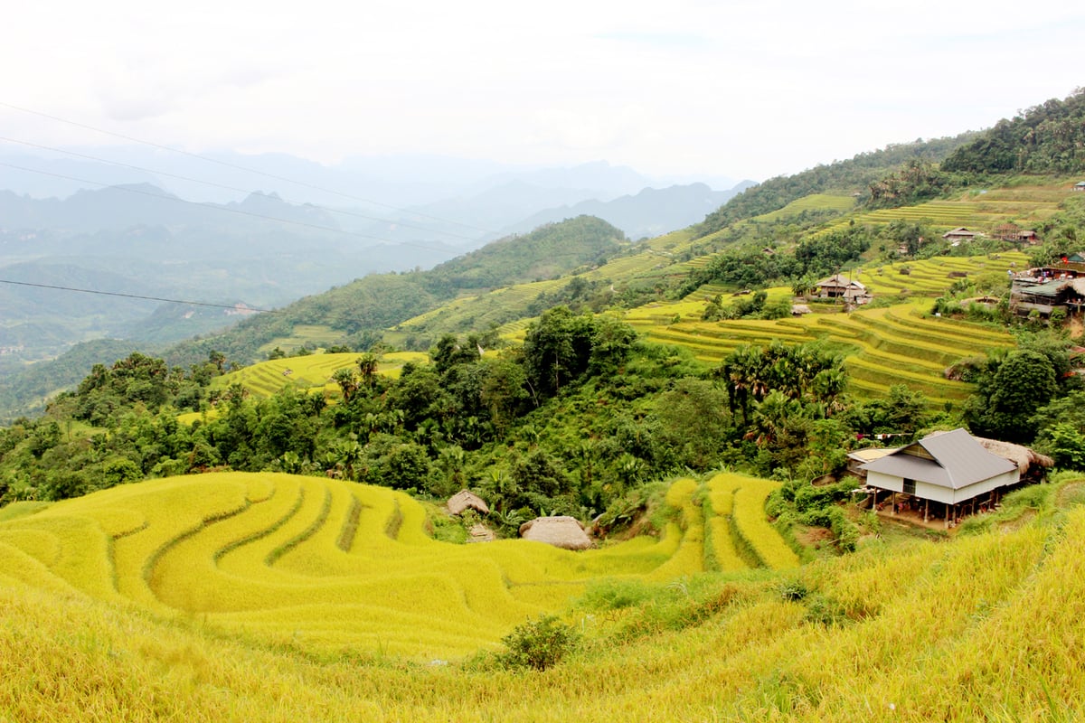 Top 10 ruộng bậc thang đẹp nhất Việt Nam: Những tuyệt tác “đẹp hơn tranh vẽ” - ảnh 9