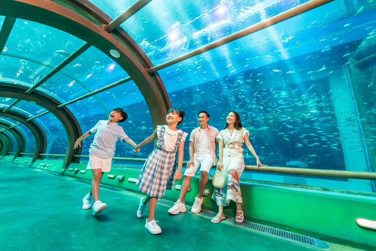 Bỏ túi kinh nghiệm tham quan Cung điện Hải Vương VinWonders Phú Quốc chi tiết 2025 - ảnh 5
